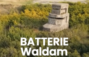 Batterie Waldam